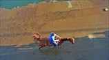 Βόλτα με άλογο