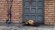Γουρουνοκεφαλή και συνθήματα κατά του Ισλάμ στο Ελληνοαραβικό Κέντρο