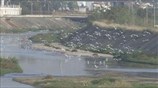 Πρωτοβουλία για ανάπλαση του δυτικού παράκτιου μετώπου της Θεσσαλονίκης