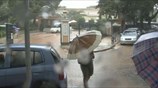 Χαλάει ο καιρός από το βράδυ - Καταιγίδες αύριο σε όλη τη χώρα