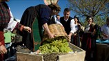 Τρίκαλα: Εκδήλωση για τον παραδοσιακό τρόπο απόσταξης του τσίπουρου