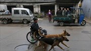 Κίνα: Βόλτα με δύο πολύτιμους φίλους