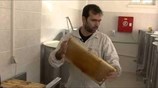 Μελισσοκομία: Ένας κλάδος με πολλές προοπτικές