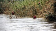 Επιτυχής η επιχείρηση της ΕΜΑΚ για τους μετανάστες στον Έβρο