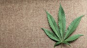 Kαταγγελία κατά του Κολοράντο για τη νομιμοποίηση της μαριχουάνας
