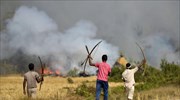 Ινδία: 56 νεκροί από επιθέσεις ανταρτών στο κρατίδιο Άσαμ