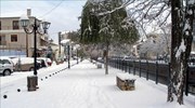 Παγετός στην Κεντρική και Δυτική Μακεδονία