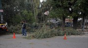 Σοβαρά προβλήματα από θυελλώδεις ανέμους στην Ήπειρο