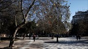 Καιρός: Ηλιοφάνεια και άνοδος της θερμοκρασίας