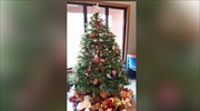ΗΠΑ: Βρήκαν δαχτυλίδι αρραβώνων σε χριστουγεννιάτικο δέντρο
