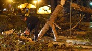 Μυτιλήνη: Μία γυναίκα νεκρή και μία σοβαρά τραυματισμένη από πτώση δέντρου