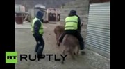 Ρωσία: Αστυνομικός έπεσε θύμα... «απαγωγής» από γάιδαρο