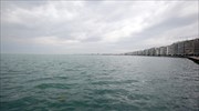 Προανάκριση για νεκρά ψάρια στον Θερμαϊκό Κόλπο