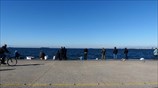 Ερασιτέχνες ψαράδες στη Θεσσαλονίκη