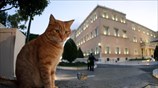 Ολοκληρώθηκαν οι εργασίες στην Βουλή