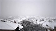 Έντονη η χιονόπτωση στη Φθιώτιδα