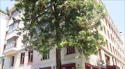 Συνάντηση του Συλλόγου Ελλήνων Αρχαιολόγων με τον αναπληρωτή υπουργό Πολιτισμού