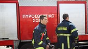 Πέλλα: Φωτιά κατέστρεψε κέντρο διαλογής φρούτων στην Ακρολίμνη