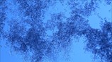 Χιόνι στην Αθήνα