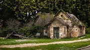 Ο Λουί Μπενέκ μελετά τον ανακτορικό κήπο του Τατοΐου