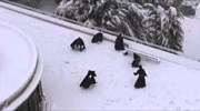 Φραγκισκανοί μοναχοί παίζουν χιονοπόλεμο