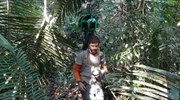 Eικονική περιήγηση στη ζούγκλα του Αμαζονίου