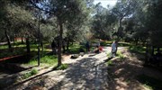 Πολλαπλές μαχαιριές φέρει το πτώμα άνδρα που βρέθηκε σε αλσύλλιο του Χολαργού