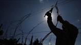 Ξεκίνησε το κλάδεμα των αμπελιών 