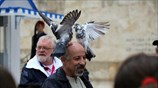 Στιγμιότυπο από το Σύνταγμα