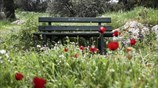 Άνοιξη στο λόφο του Φιλοπάππου
