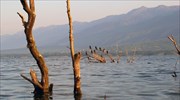 Σε οριακό σημείο η στάθμη του νερού στη λίμνη Κερκίνη