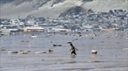 Χιλή: Νεκρούς και αγνοουμένους αφήνουν πίσω τους οι πλημμύρες