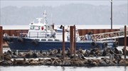 Θαλάσσιοι λέοντες «εισβάλλουν» στο Όρεγκον
