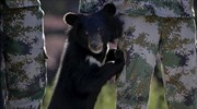 Κίνα: Διάσωση άγριων ζώων
