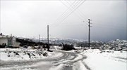 Δύο νεκροί στη Φθιώτιδα από τον χιονιά