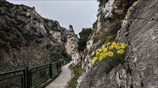 Ανοιξιάτικο τοπίο στην Κοζάνη