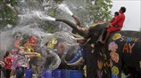 Ταϊλάνδη: Ελέφαντες καταβρέχουν τουρίστες