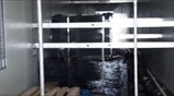 Εξάρθρωση εγκληματικής οργάνωσης διεθνικού χαρακτήρα, που διακινούσε μεγάλες ποσότητες ηρωίνης