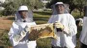 Και ύστερα πήγαν στις μέλισσες