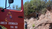 Δασική πυρκαγιά στη Σάμο