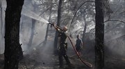 Υπό έλεγχο πυρκαγιά στον Πάρνωνα