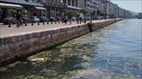 Μόλυνση στον Θερμαϊκό Κόλπο