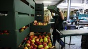 Σχέδια περιορισμού της μαύρης λίστας εισαγωγών τροφίμων στη ρωσική αγορά