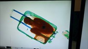 Έστειλαν οκτάχρονο παιδί κλεισμένο σε βαλίτσα από το Μαρόκο στην Ισπανία