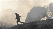 Σουφλί: Κατασβέστηκε πυρκαγιά στο Εθνικό Πάρκο Δαδιάς