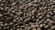 Saxo Bank: Προβλέψεις για την αγορά καφέ Arabica