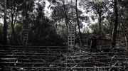 Εξετάζεται το ενδεχόμενο εμπρησμού για τη φωτιά στη Ρεματιά Χαλανδρίου