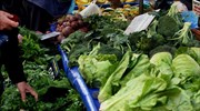 Η αγορά των νωπών οπωροκηπευτικών «καλλιεργεί» τάσεις ανάπτυξης