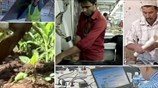 ILO: Φτώχεια, ανισότητα και ανασφάλεια στην ελληνική αγορά εργασίας