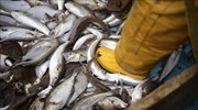 Συστηματική παράνομη κινεζική αλιεία στην Αφρική